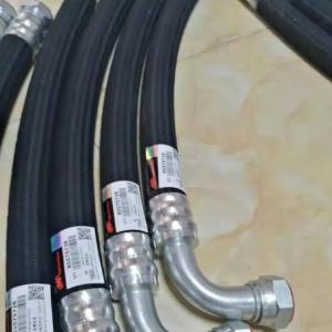 Italian double hose Ingersoll carton