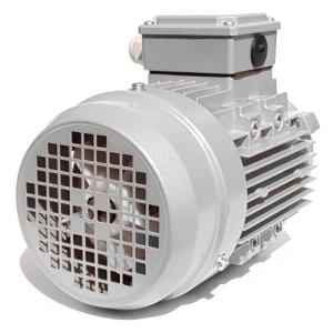 0.75HP 380V Italian Nicolini gray motor