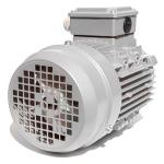 5HP 220V Italian Nicolini gray motor